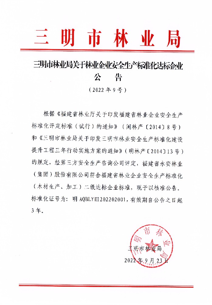 安全生產標準化二級達標企業
