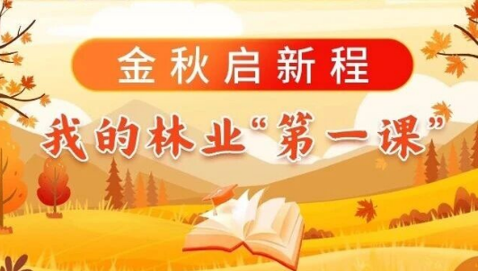 金秋啟新程，我的林業“第一課”（二）